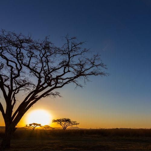 African sunset.jpeg