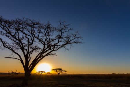 African sunset.jpeg